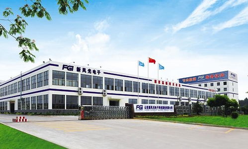 山東新風光電子科技發展